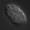 Thumbnail for dataset RNAi_F56A8.6_040729_01
