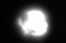 Thumbnail for dataset Fig3_iPSM_mCh