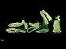 Thumbnail for dataset Fig4_intestine_X