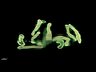 Thumbnail for dataset Fig4_intestine_Y