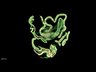 Thumbnail for dataset Fig4_intestine_Z