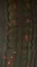 Thumbnail for dataset Figure2B_dorsal_16ss