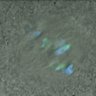 Thumbnail for dataset Fig2A_140207_240min