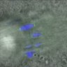 Thumbnail for Fig2B_141107_Hec1-mEGFP-CENP-C_6h
