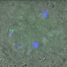 Thumbnail for dataset Figure3C_141114_Hec1_ACA_dil2500_2h