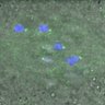 Thumbnail for dataset Figure3C_141114_Hec1_ACA_dil2500_3h
