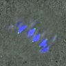 Thumbnail for dataset Figure4C_131220_BubR1_pS659_ACA_240min