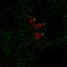 Thumbnail for Figure7B_120713_L1_con2