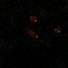 Thumbnail for dataset Figure7B_120713_L1_con5