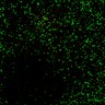 Thumbnail for dataset Figure7B_120713_L1_con6