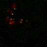 Thumbnail for dataset Figure7B_120713_L3_con5