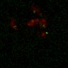 Thumbnail for dataset Figure7B_120713_L4_con6