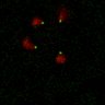 Thumbnail for dataset Figure7B_120713_L5_con6