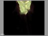 Thumbnail for dataset FigS3C_DV-chest