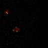 Thumbnail for dataset Figure7B_120713_L9_con2