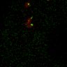 Thumbnail for dataset Figure7B_120713_L11_con3