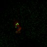 Thumbnail for dataset Figure7B_120713_L11_con4