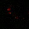 Thumbnail for dataset Figure7B_120713_L12_con3