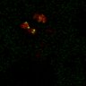 Thumbnail for Figure7B_120713_L12_con5