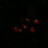 Thumbnail for dataset Figure7B_120713_L13_con4