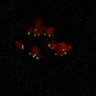 Thumbnail for Figure7B_120713_L13_con5