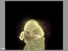 Thumbnail for dataset FigS3C_head