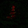 Thumbnail for dataset Figure7B_120716_L5_con2