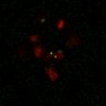 Thumbnail for dataset Figure7B_120716_L6_con5