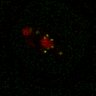 Thumbnail for dataset Figure7B_120716_L8_con5