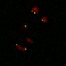 Thumbnail for Figure7B_120716_L11_con3