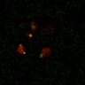 Thumbnail for dataset Figure7B_120716_L11_con4