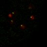 Thumbnail for dataset Figure7B_120716_L14_con1