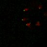 Thumbnail for dataset Figure7B_120716_L14_con2