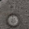 Thumbnail for dataset FigureS2AB_150123_tdTomato-CENP-C_Hec1-mEGFP_Nuf_MII_L7