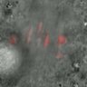 Thumbnail for dataset FigureS3C_150302_3mEGFP-B2alpha_H2B-mCherry