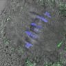 Thumbnail for FigureS3D_140511_B56e_ACA_control_360min