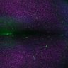 Thumbnail for dataset Fig4B_Series055
