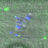 Thumbnail for dataset FigureS5B_150127_pS55_Hec1_ACA_BubR1-3A