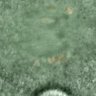 Thumbnail for dataset FigureS5E_150227_mNeonGreen-Nsl1_B56e-mNeonGreen-Nsl1_H2B-mCherry