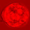 Thumbnail for dataset figure1D_NuCyM_posi1_2