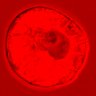 Thumbnail for dataset figure1D_NuCyM_posi2_1