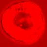 Thumbnail for dataset figure1D_NuCyM_posi2_3