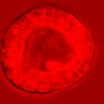 Thumbnail for dataset figure1D_NuCyM_posi3_2