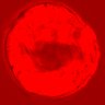 Thumbnail for dataset figure1D_NuCyM_posi3_3