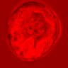 Thumbnail for dataset figure1D_NuCyM_posi4_1