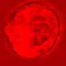 Thumbnail for dataset figure1D_NuCyM_posi4_2