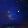 Thumbnail for dataset Fig4C_CryDKO-CT12