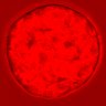 Thumbnail for dataset figure1D_NuCyM_posi6_2