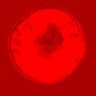 Thumbnail for dataset figure1D_NuCyM_posi7_4