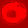 Thumbnail for dataset figure1D_NuCyM_posi8_2